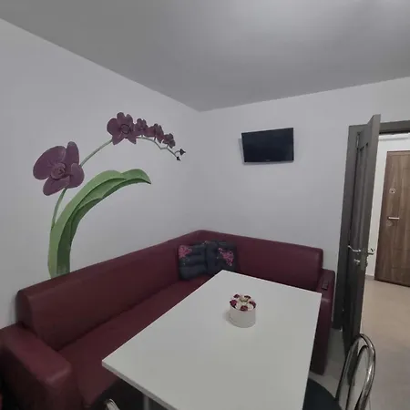 Apartment Oaza Langa Parc